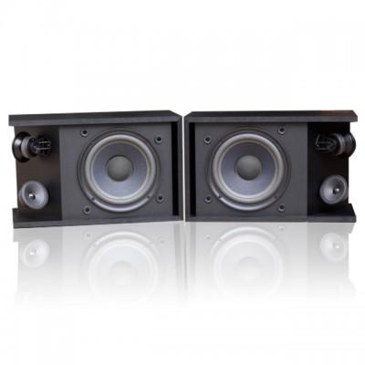 Loa Bose 301 Series III