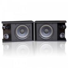 Loa Bose 301 Series III