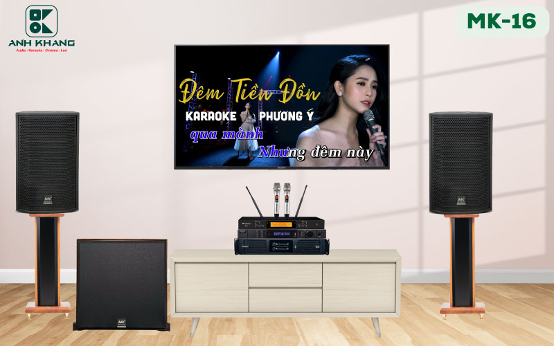 dan karaoke gia dinh mk acoustic 16